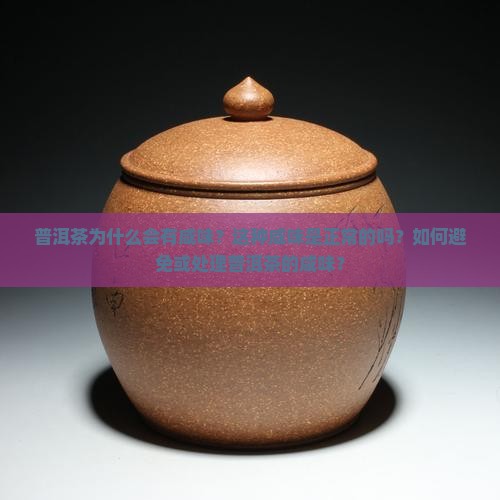 普洱茶咸味怎么回事 普洱茶咸味怎么回事
