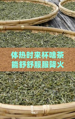 体热适合喝什么茶