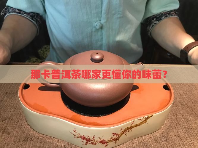 那卡普洱茶哪个牌子好