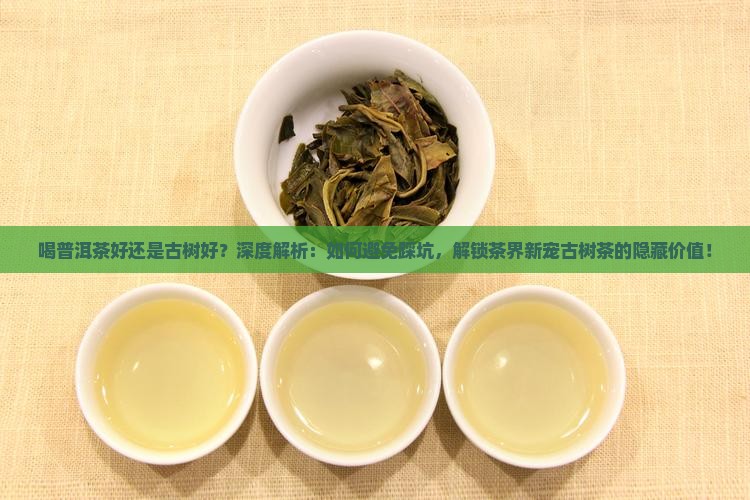 喝普洱茶好还是古树好