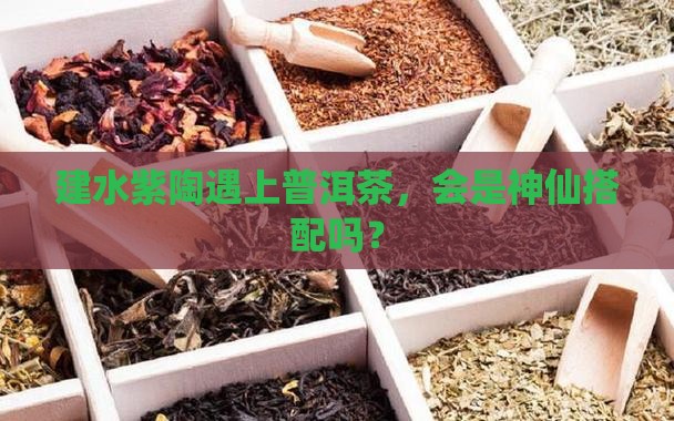 建水紫陶可以放普洱茶嘛
