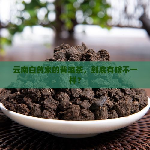 云南白药旗下的普洱茶
