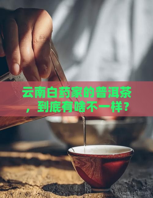 云南白药旗下的普洱茶