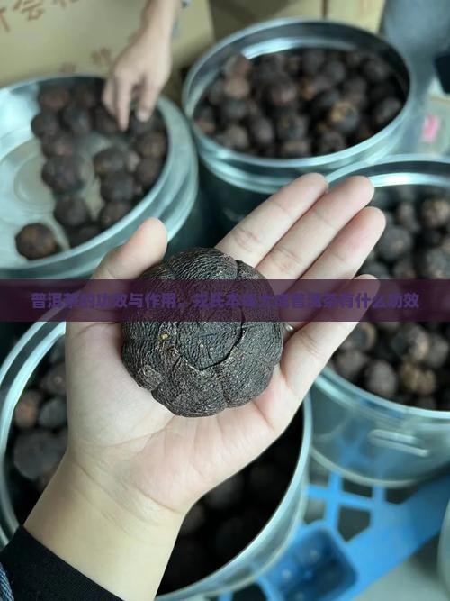 戎氏本味大成普洱茶的功效