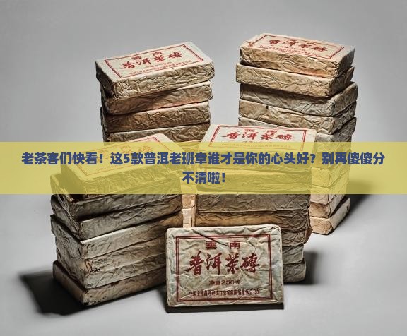 各品普洱茶老班章排名