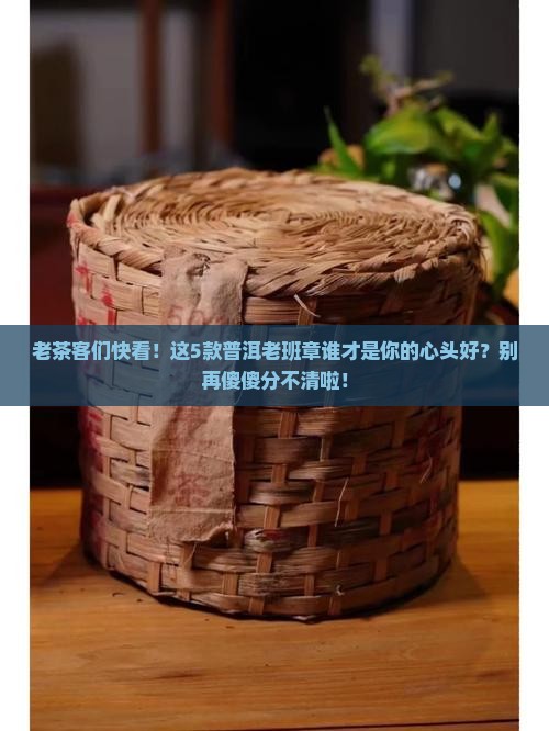 各品普洱茶老班章排名
