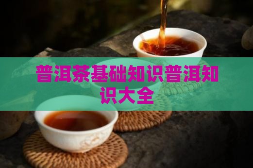 喝普洱茶基础知识