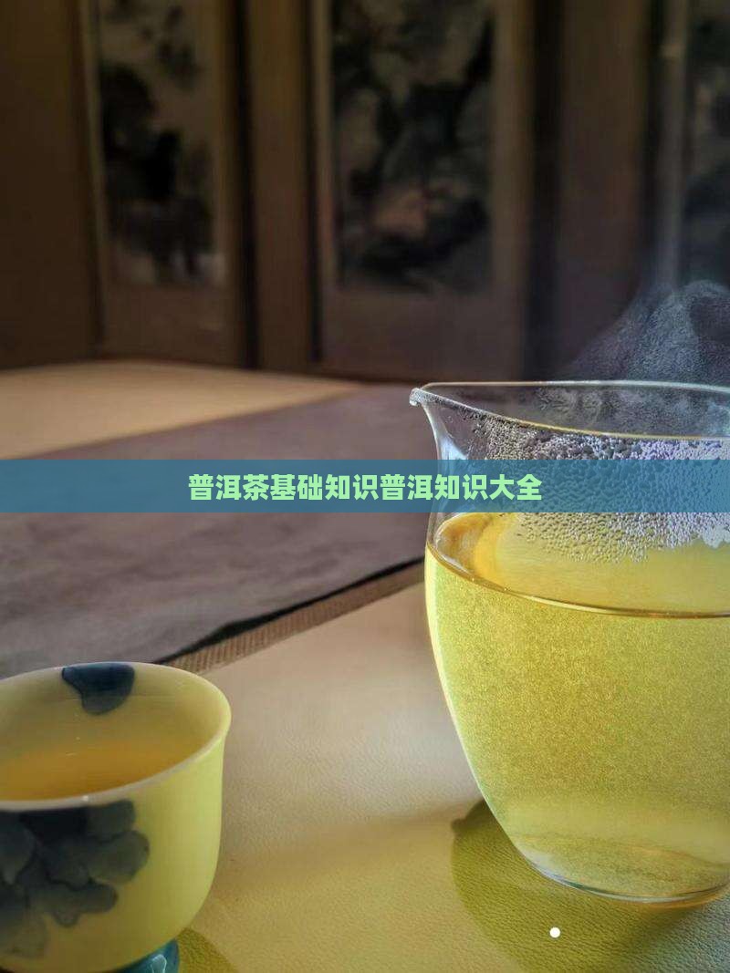 喝普洱茶基础知识