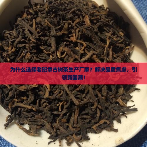 老班章古树茶生产厂家 老班章古树茶生产厂家