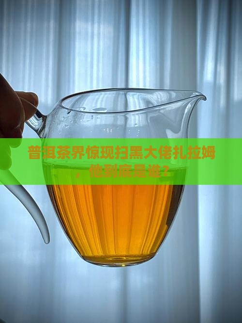 普洱茶扫黑老大扎拉姆