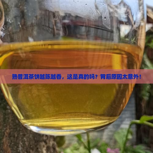熟普洱茶饼越老越好吗为什么