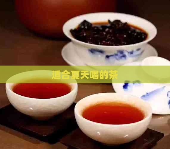 适合夏天喝的茶