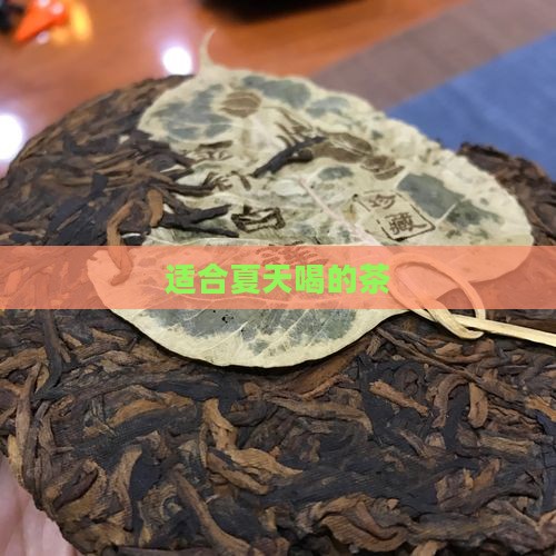 适合夏天喝的茶
