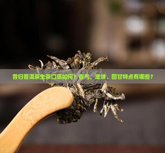 昔归普洱茶生茶口感