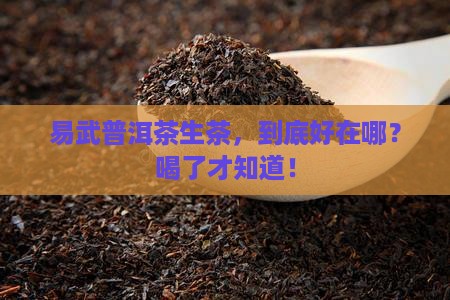 易武普洱茶生茶好坏