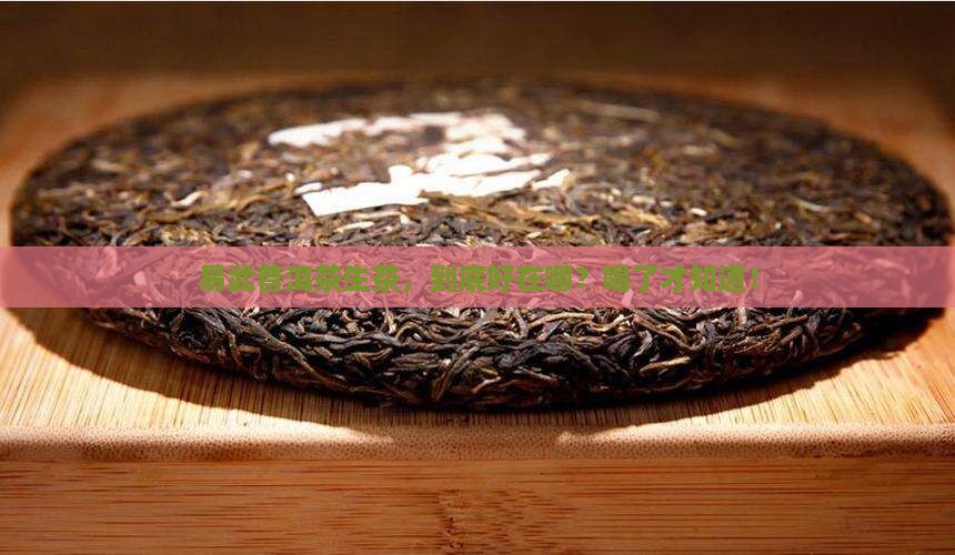 易武普洱茶生茶好坏