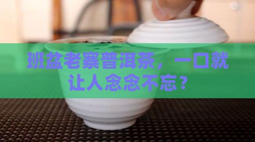 班盆老寨普洱茶怎么样