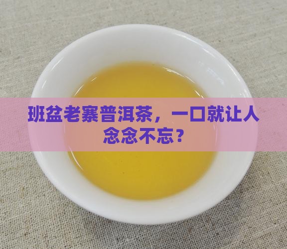 班盆老寨普洱茶怎么样