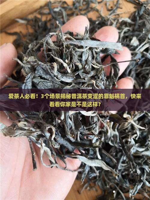 普洱茶突然变涩的原因