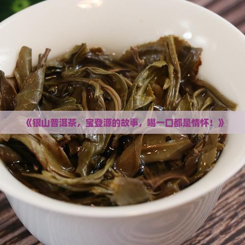 银山普洱茶宝登源 银山普洱茶宝登源