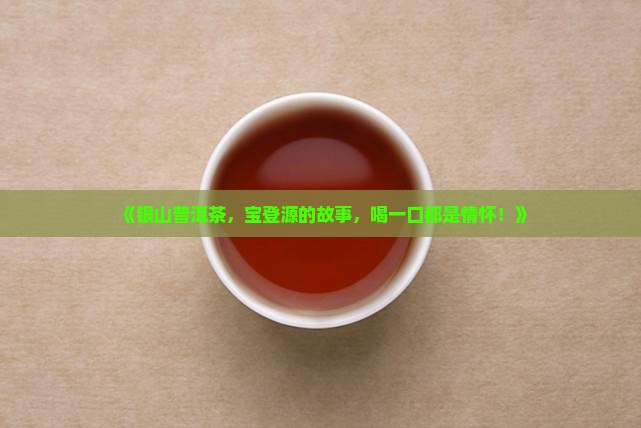 银山普洱茶宝登源 银山普洱茶宝登源