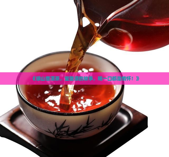 银山普洱茶宝登源 银山普洱茶宝登源