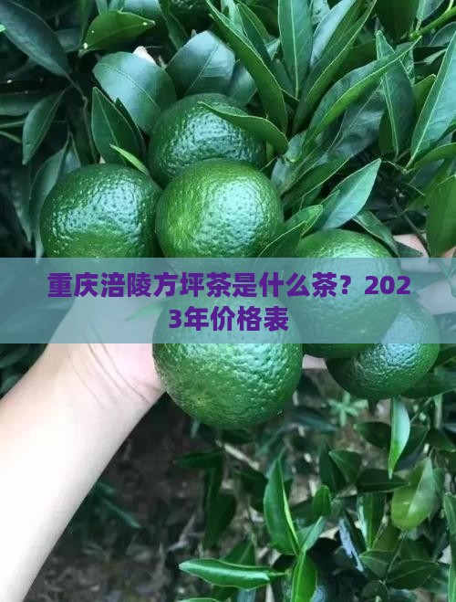 重庆涪陵方坪茶是什么茶