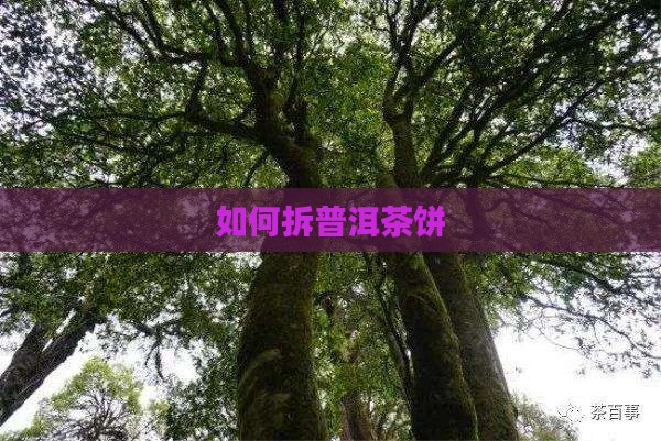 如何拆普洱茶饼