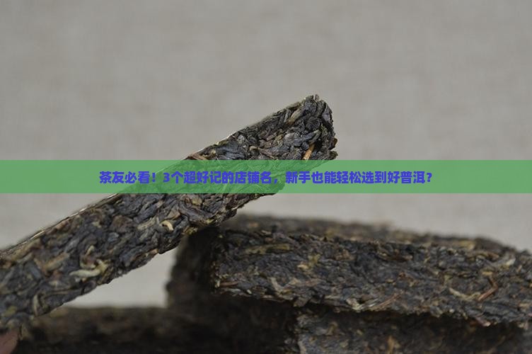 如何品普洱茶推荐店铺名