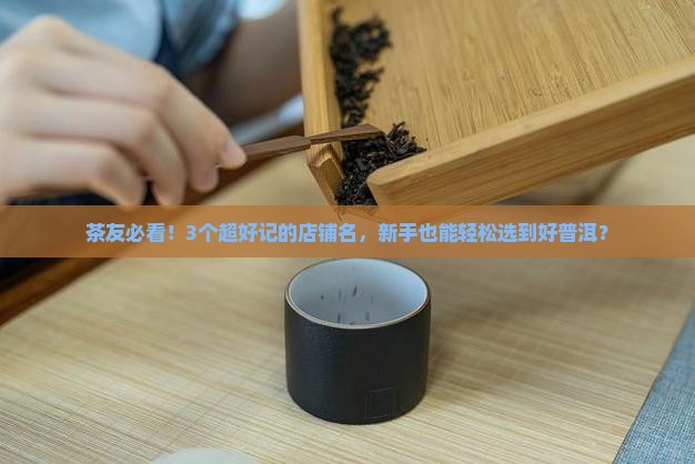 如何品普洱茶推荐店铺名