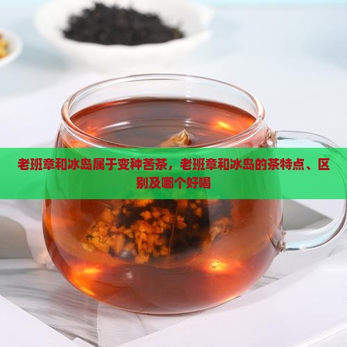 老班章和冰岛属于变种苦茶