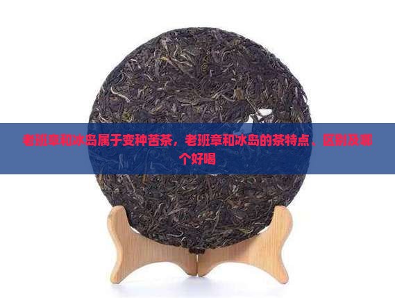 老班章和冰岛属于变种苦茶