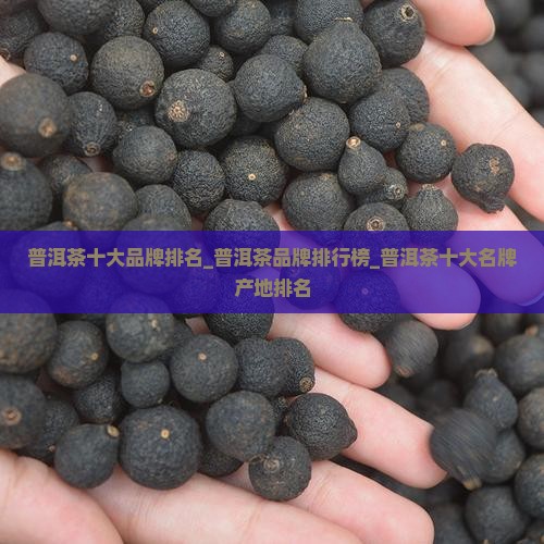 普洱茶十大名牌产地排名