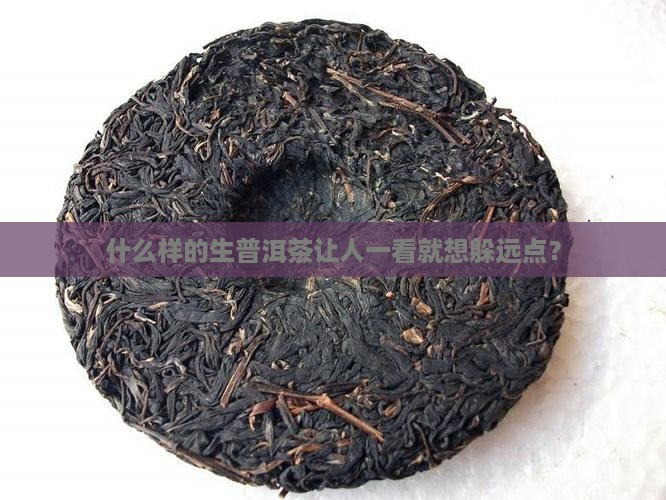 什么样的生普洱茶不能购买藏