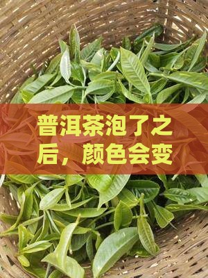 普洱茶泡了会不会变质变色