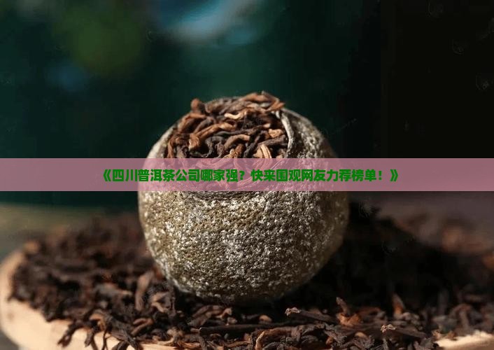 四川普洱茶公司排名榜