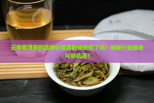 云南普洱茶的品牌价值