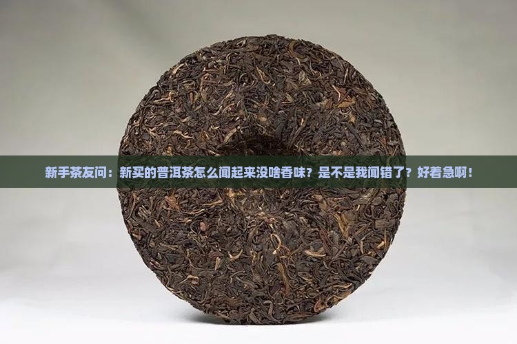 普洱茶新茶香气弱吗为什么