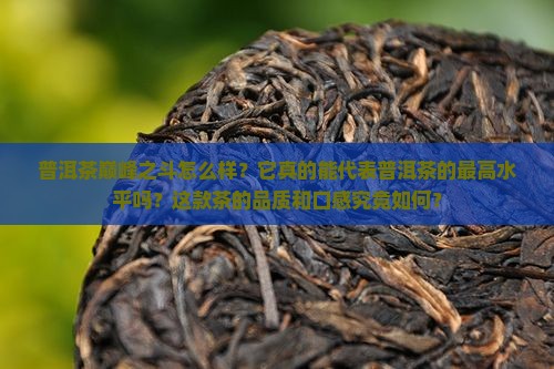 普洱茶巅峰之斗怎么样