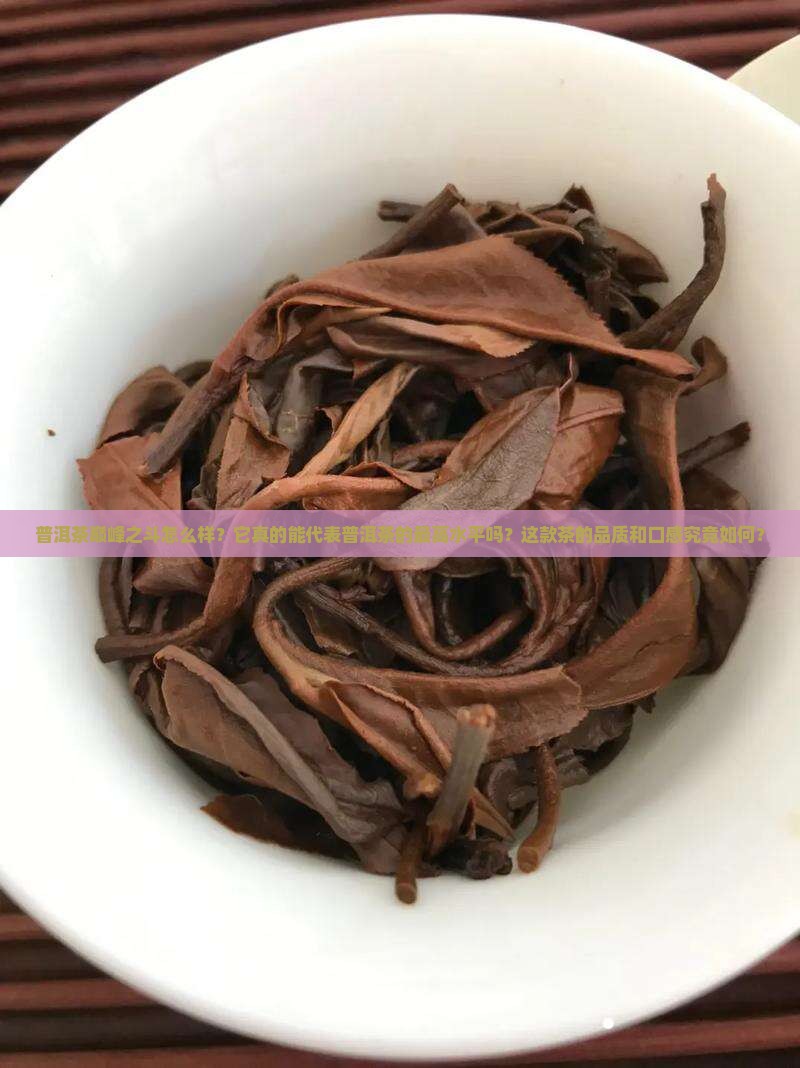 普洱茶巅峰之斗怎么样