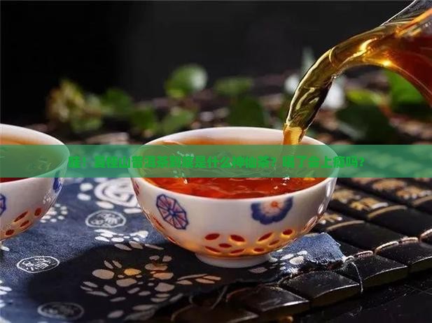 曼桂山普洱茶是什么茶