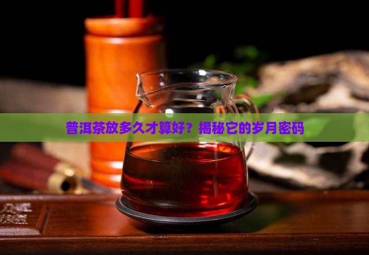 如何看普洱茶年限是几年