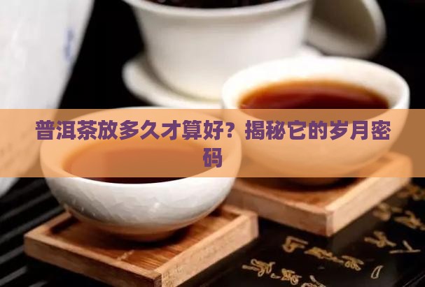 如何看普洱茶年限是几年