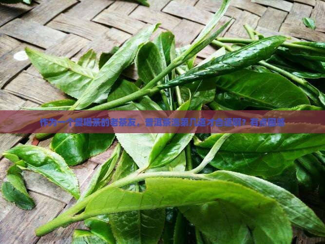 普洱茶泡多大合适比较好