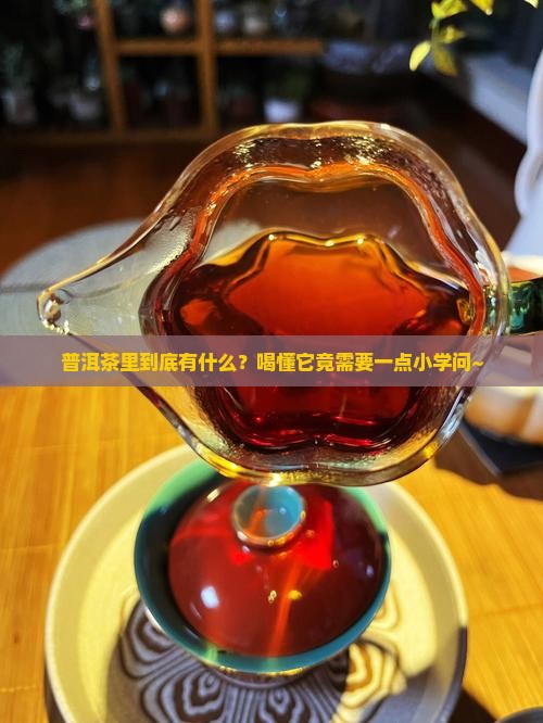 普洱茶化学的成分