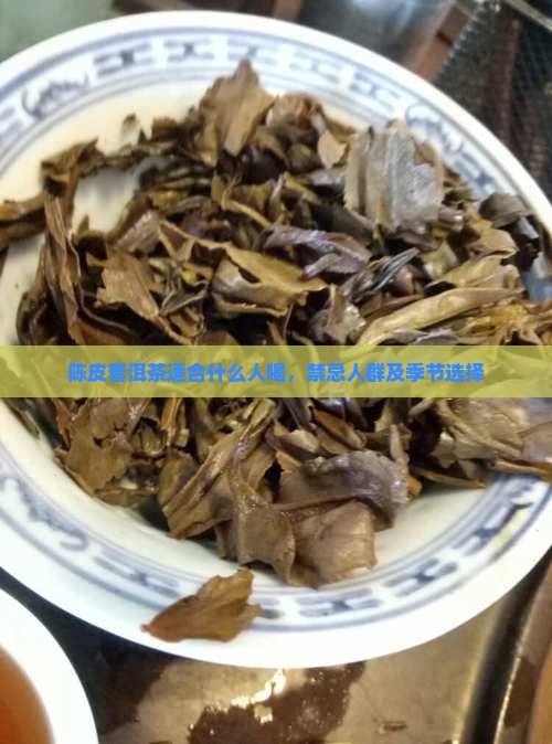 陈皮普洱茶适合什么人喝