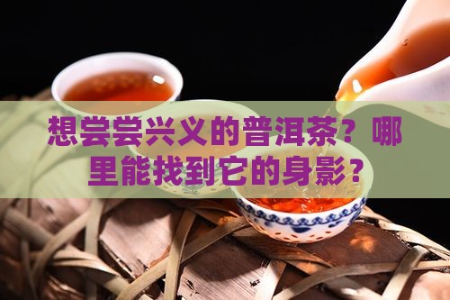 兴义普洱茶哪里可以买到