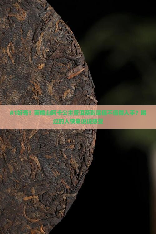 南糯山阿卡公主普洱茶