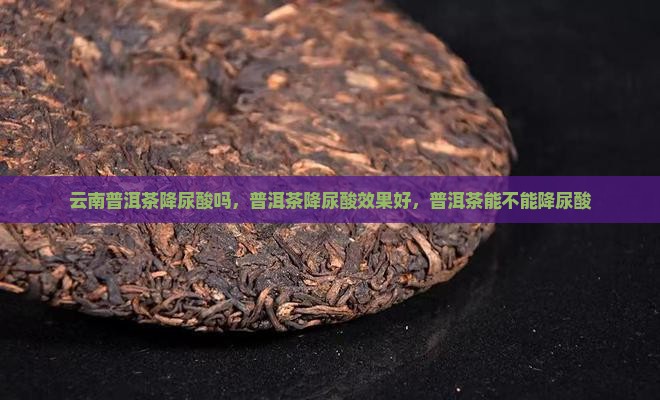 云南普洱茶降尿酸吗