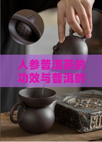 普洱茶和人参花